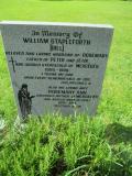 image of grave number 461671